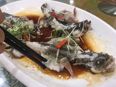 -寻味顺德·南记酒家·传统顺德菜·鱼生(广源路店)