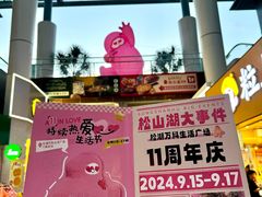 -万科生活广场(东莞松山湖店)