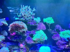 -海合安成都极地海洋公园