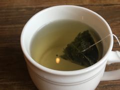 -吉丁鸟咖·异宠·寄养
