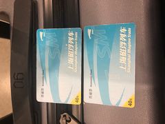 -浦东1号2号航站楼(地铁站)