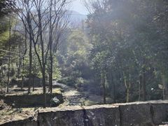 -仙霞关景区