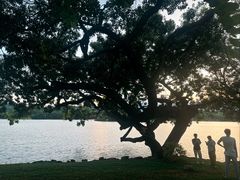 -黎记大排档(慈云路店)