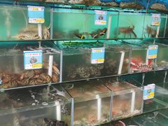 水产区-琼大师东方烤乳猪(亚特兰蒂斯店)