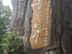 -青青世界