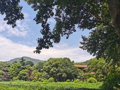 -中国茶叶博物馆(双峰馆区)