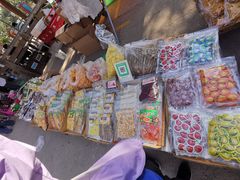 -曼丢傣家古寨