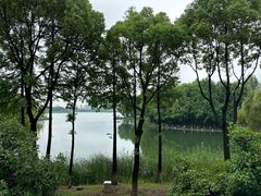 -暨阳湖大酒店-西餐厅