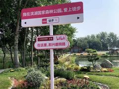 -合肥滨湖国家森林公园