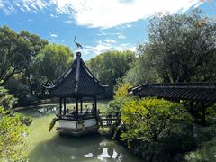 -上海醉白池公园