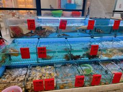 -洲晓鲜·舟山海鲜大排档(朱家尖风景区店)