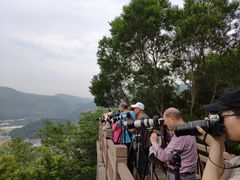 -小皓村