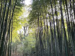 -宝鸡植物园