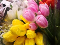 -豆豆花艺(新光天地店)