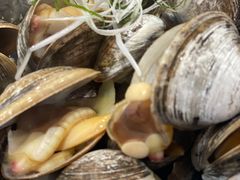 一桶黄蚬-渔娘渔家丹东海鲜(东直门店)