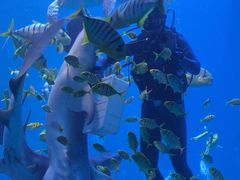 -太平洋海底世界