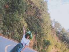 -铁山坪森林公园