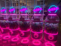 -青水瓦台汤泉(未央店)