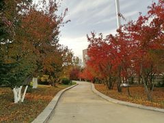 -长春世界雕塑园冰雪艺术天地