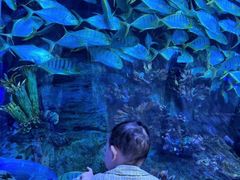 -华夏文旅海洋公园