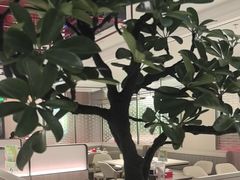 -海底捞火锅(高科广场店)