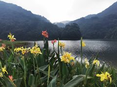 -广州市石门国家森林公园