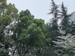 -龙头寺公园