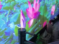 -上足·影院足道·SPA(红岭店)