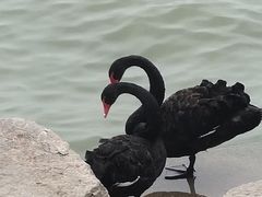 -天津东丽湖风景区