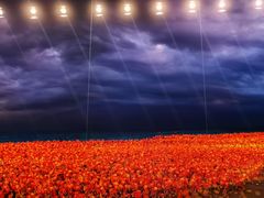 -罗红摄影艺术馆