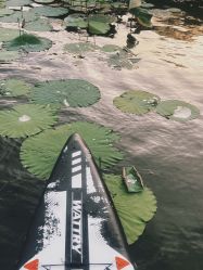 -剑鱼皮划艇俱乐部(石湖基地)