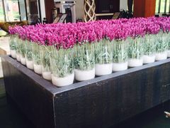 环秀晓筑养生度假村-苏州环秀晓筑养生度假村