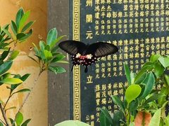 -福州开元寺