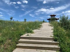 -敕勒川草原
