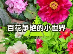 -太阳宫公园