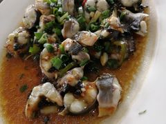 -八仔大富楼·河鲜(西江店)