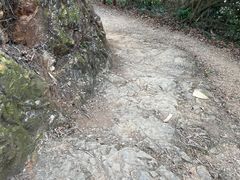 -羚羊峡古栈道森林公园