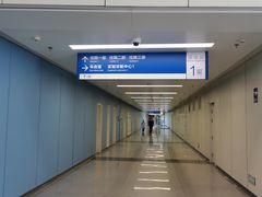 -首都医科大学附属北京天坛医院