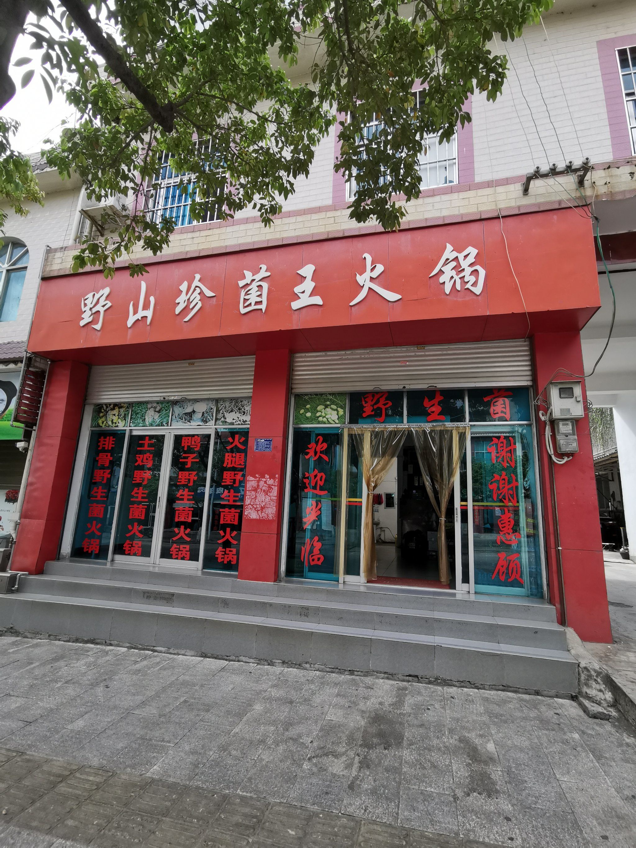 云县有家野生菌煮本地土鸡