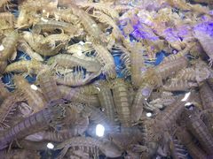 -澜悦港海鲜体验主题餐厅
