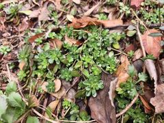 -天台山赤城山景区