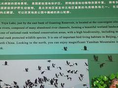 -延庆地质公园博物馆