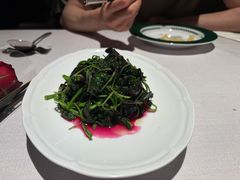 -许家菜(DT51店)