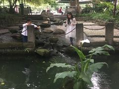 -成都市活水公园