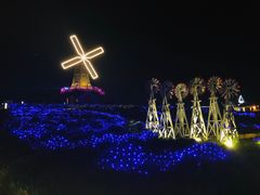 -大塘金香草谷