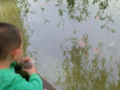 -湖南湘都生态农业园