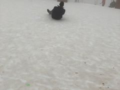 -西岭雪山大飞水景区