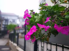 -聚德福海鲜家常菜(刘庄店)