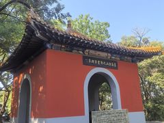 -萨尔浒风景区