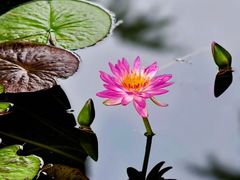 -国家植物园南园